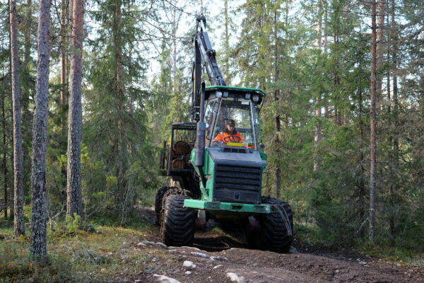 Metsäkone ajaa metsän keskellä