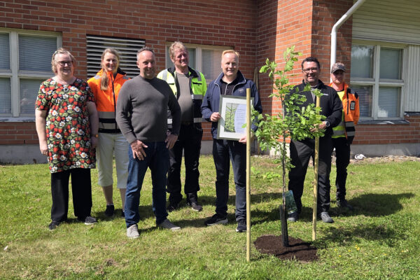 Pro metsä -palkinto juurtui Salosaareen –Koneyrittäjiltä tammi Esedun pihalle